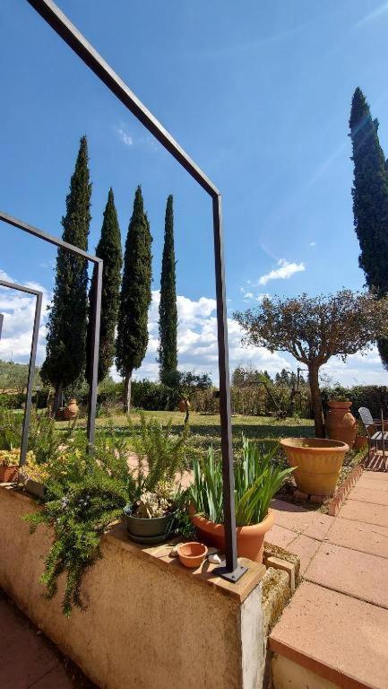 Il Paretaietto Apartment Certaldo Bagian luar foto